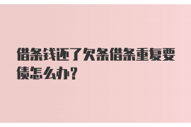 渝中为什么选择专业追讨公司来处理您的债务纠纷？